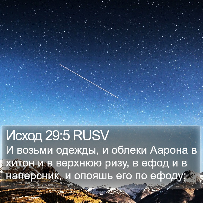 Исход 29:5 RUSV Bible Study