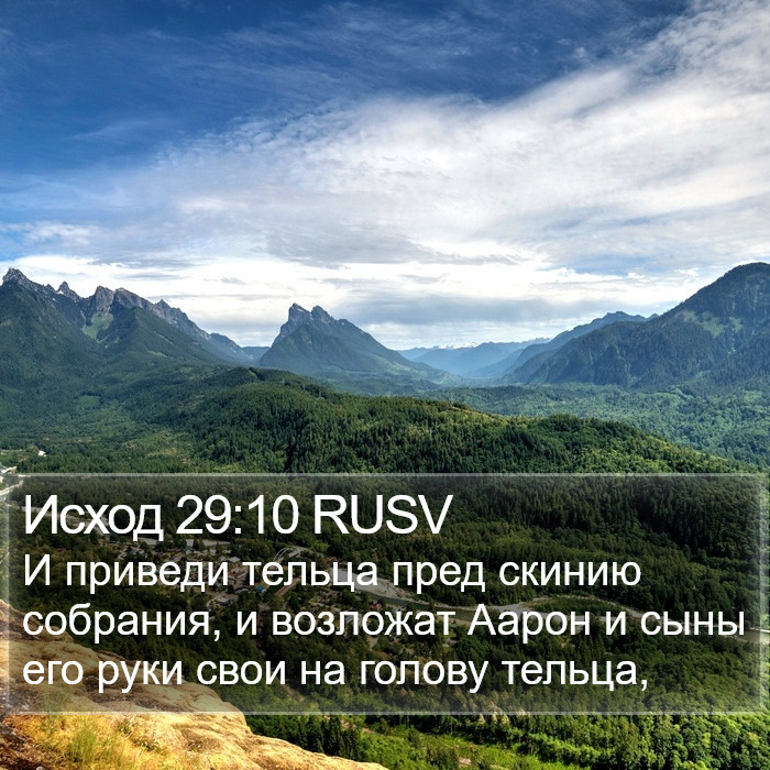 Исход 29:10 RUSV Bible Study