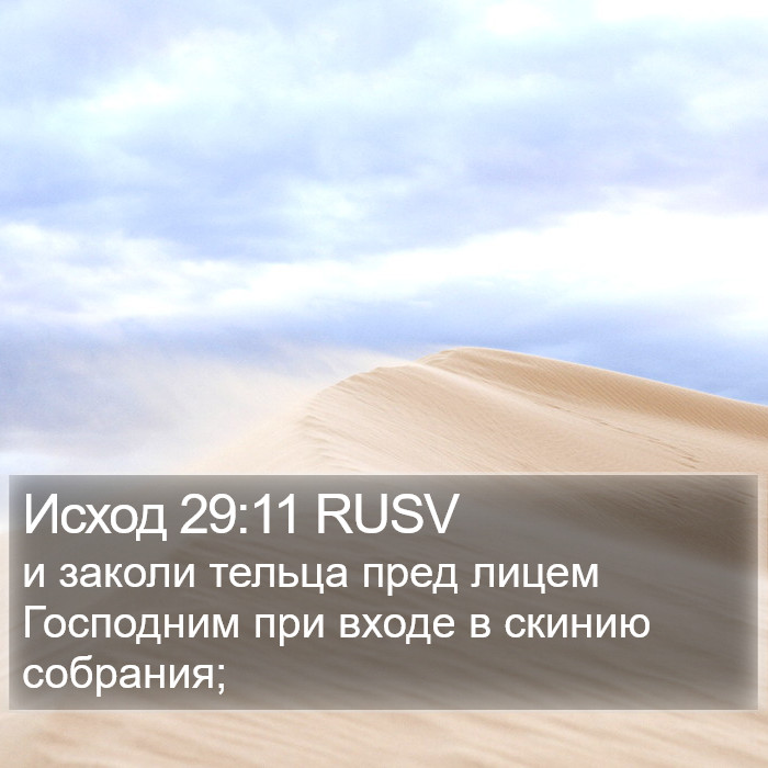 Исход 29:11 RUSV Bible Study