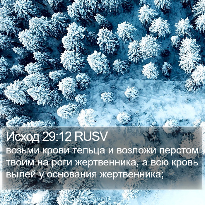 Исход 29:12 RUSV Bible Study