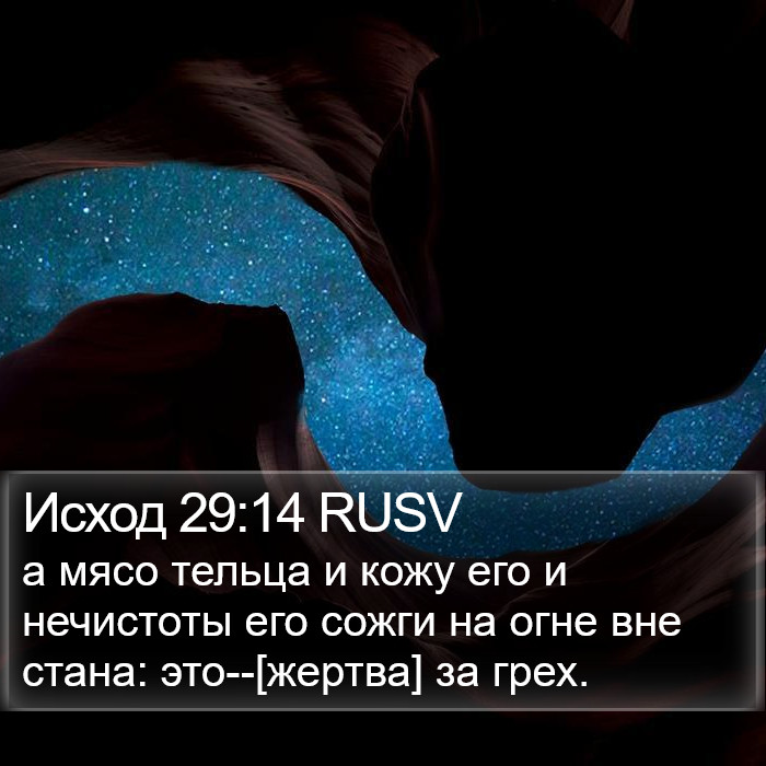 Исход 29:14 RUSV Bible Study