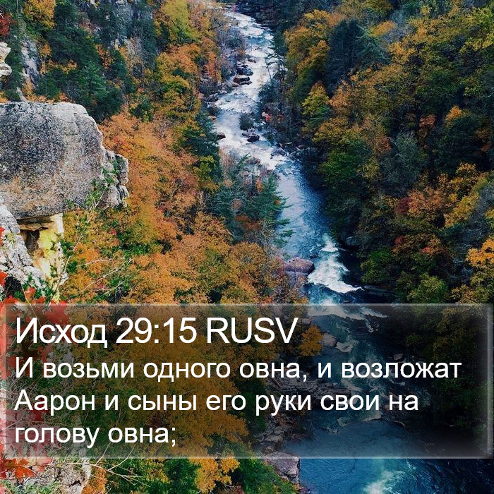 Исход 29:15 RUSV Bible Study