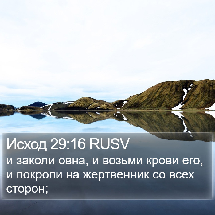 Исход 29:16 RUSV Bible Study