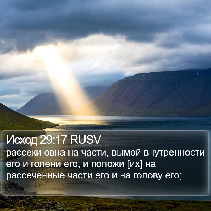 Исход 29:17 RUSV Bible Study