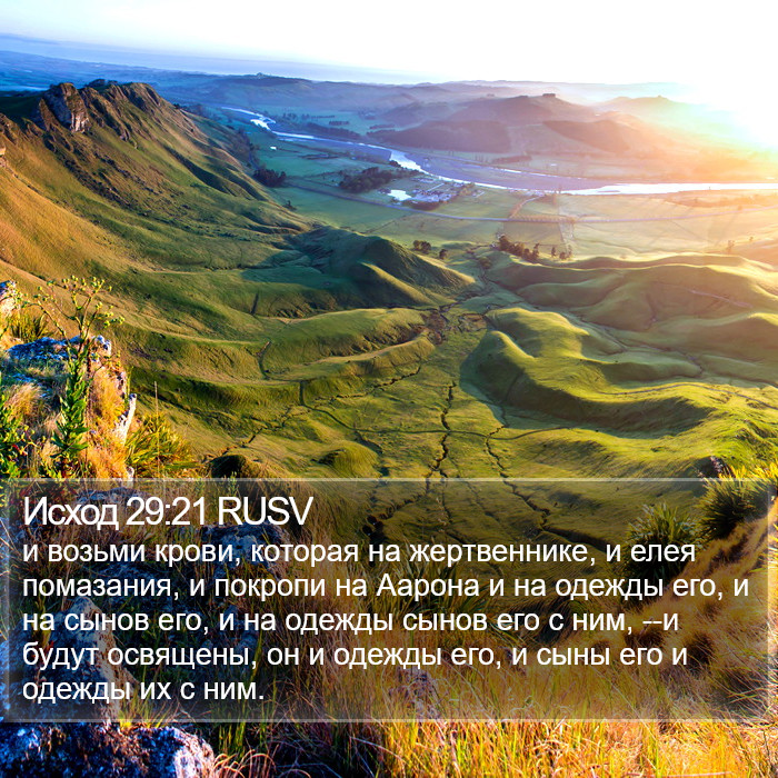 Исход 29:21 RUSV Bible Study