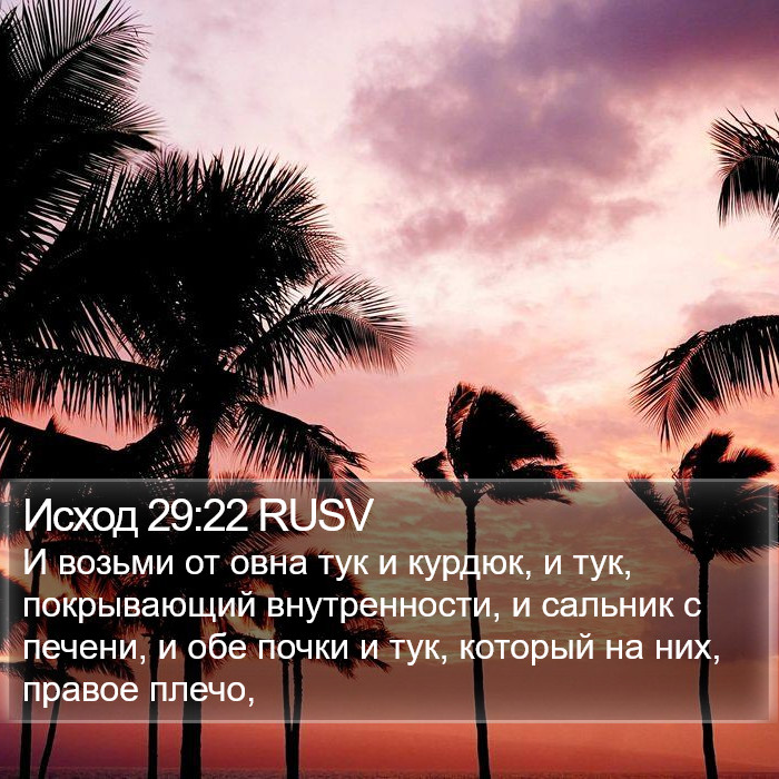 Исход 29:22 RUSV Bible Study