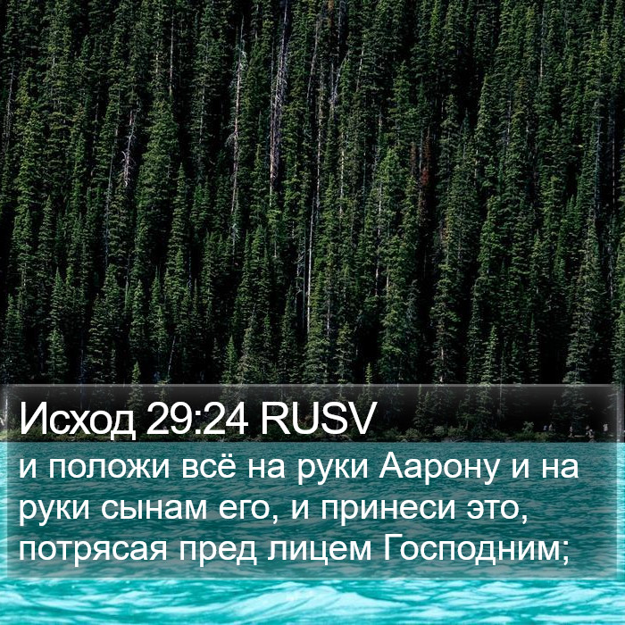 Исход 29:24 RUSV Bible Study