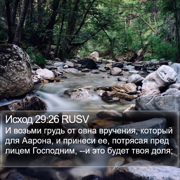 Исход 29:26 RUSV Bible Study