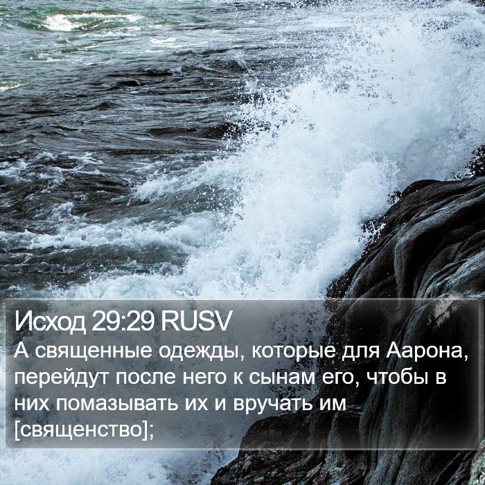 Исход 29:29 RUSV Bible Study