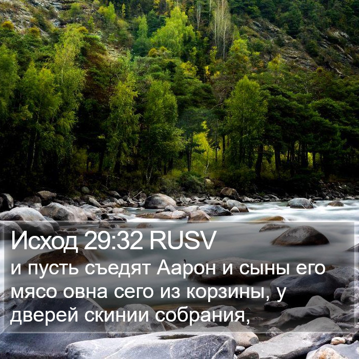 Исход 29:32 RUSV Bible Study