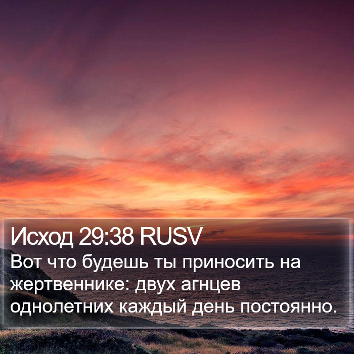 Исход 29:38 RUSV Bible Study