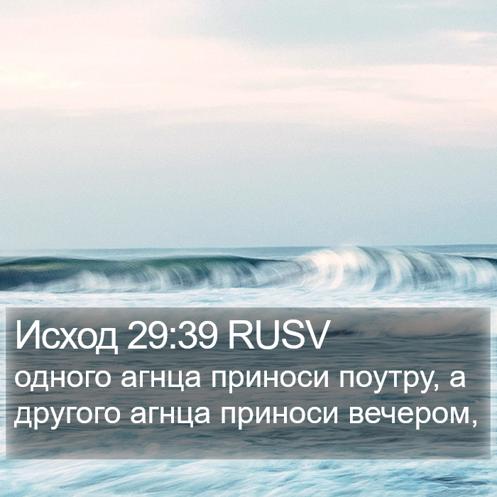 Исход 29:39 RUSV Bible Study