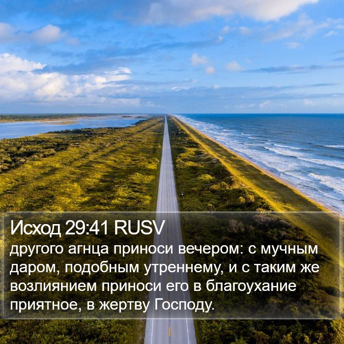 Исход 29:41 RUSV Bible Study