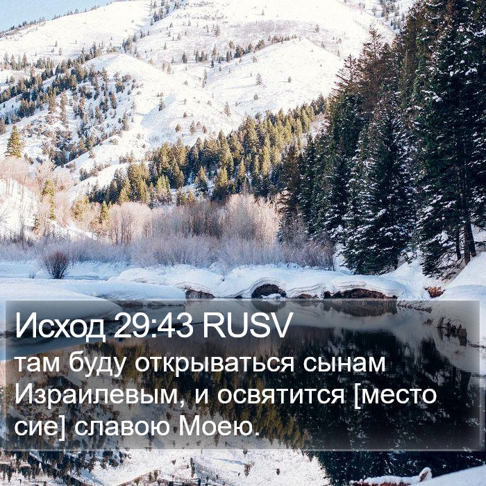 Исход 29:43 RUSV Bible Study