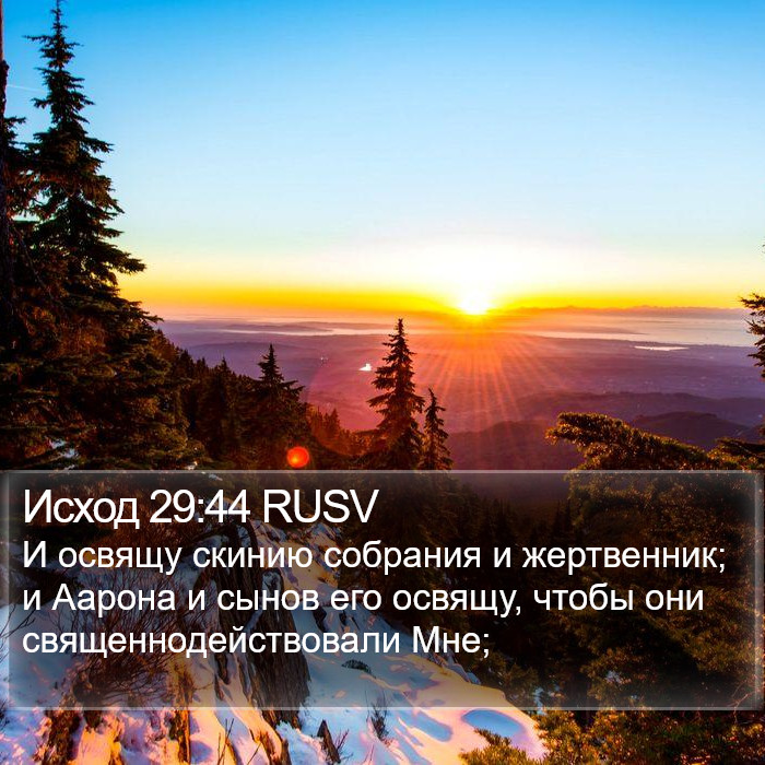 Исход 29:44 RUSV Bible Study