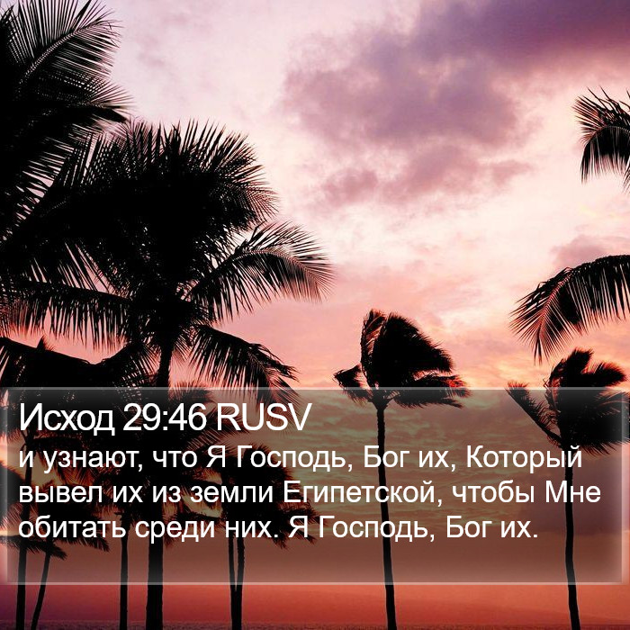 Исход 29:46 RUSV Bible Study