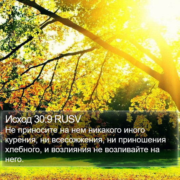 Исход 30:9 RUSV Bible Study