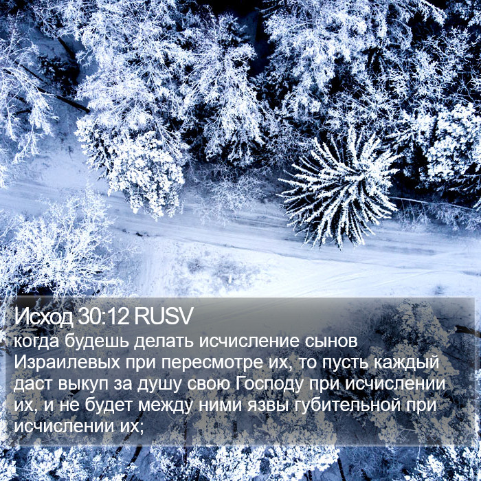 Исход 30:12 RUSV Bible Study