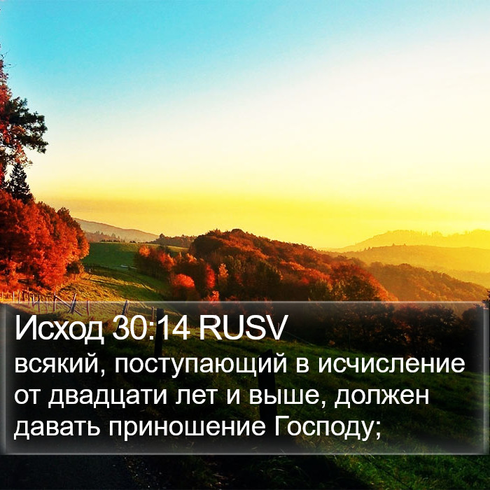 Исход 30:14 RUSV Bible Study