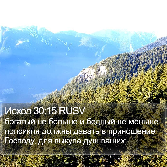 Исход 30:15 RUSV Bible Study