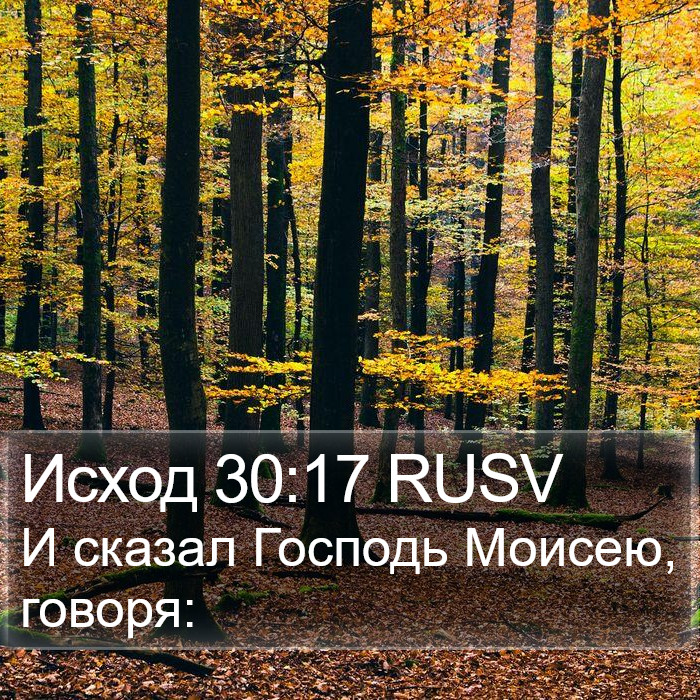 Исход 30:17 RUSV Bible Study