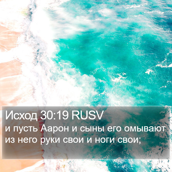 Исход 30:19 RUSV Bible Study