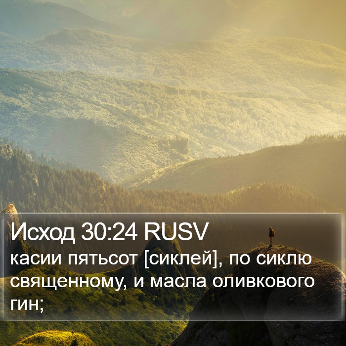 Исход 30:24 RUSV Bible Study