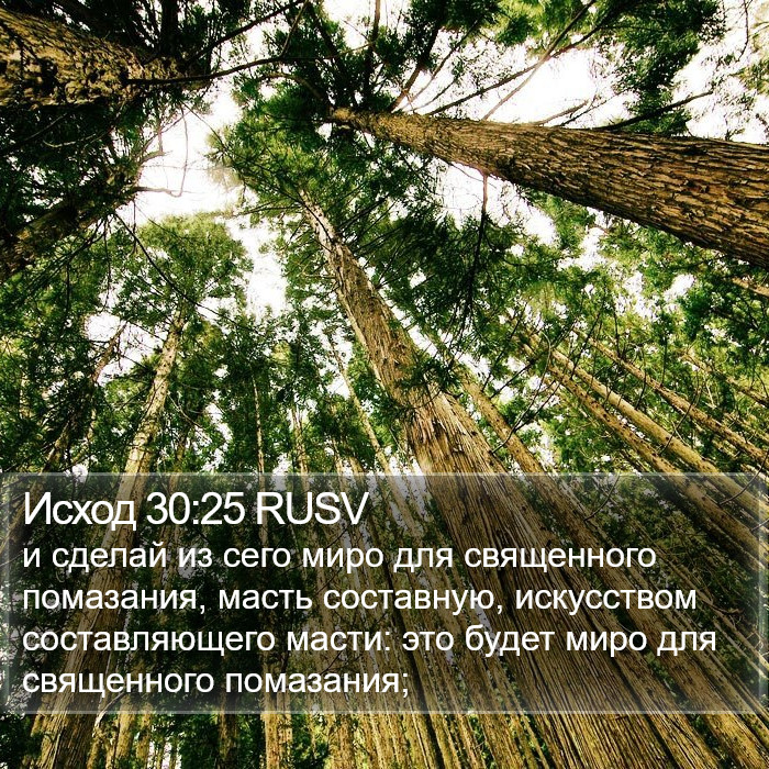 Исход 30:25 RUSV Bible Study
