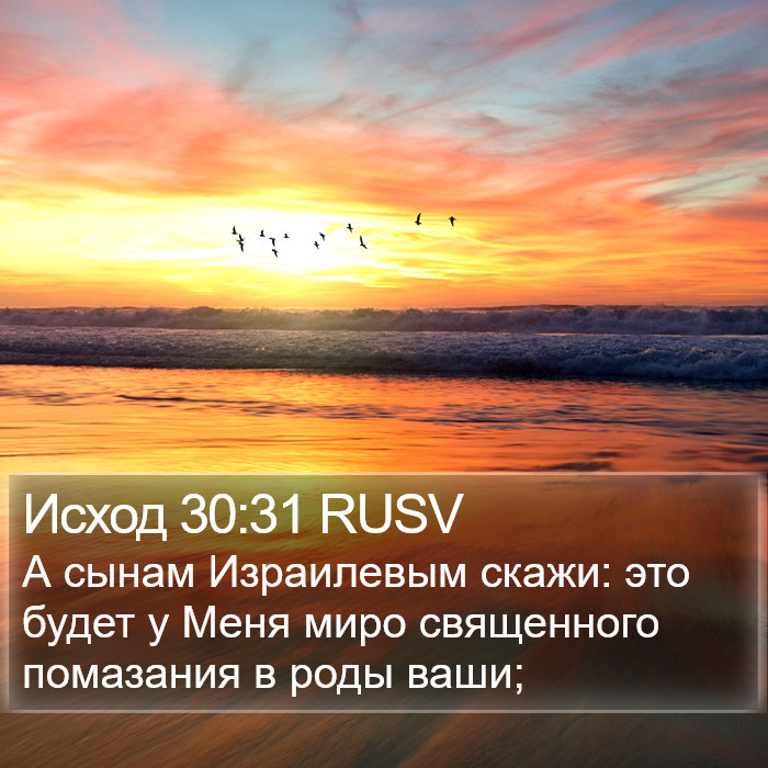 Исход 30:31 RUSV Bible Study