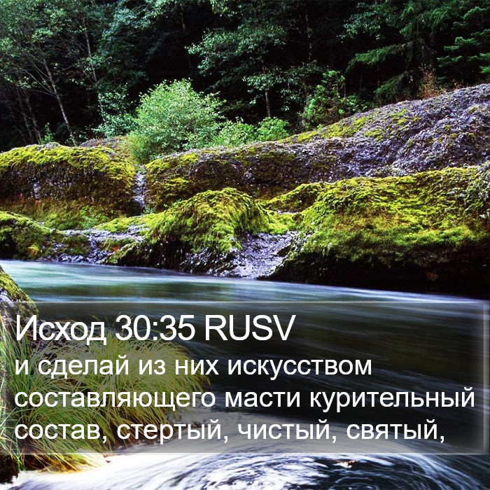Исход 30:35 RUSV Bible Study