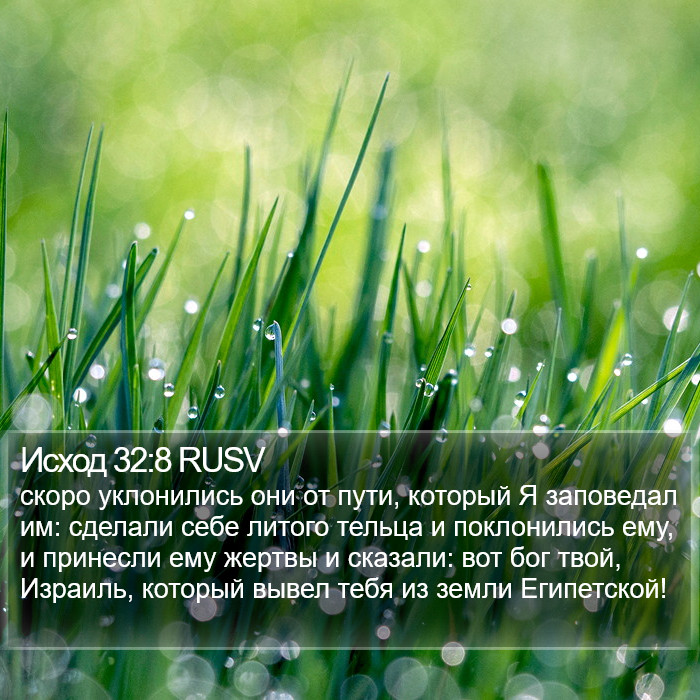 Исход 32:8 RUSV Bible Study
