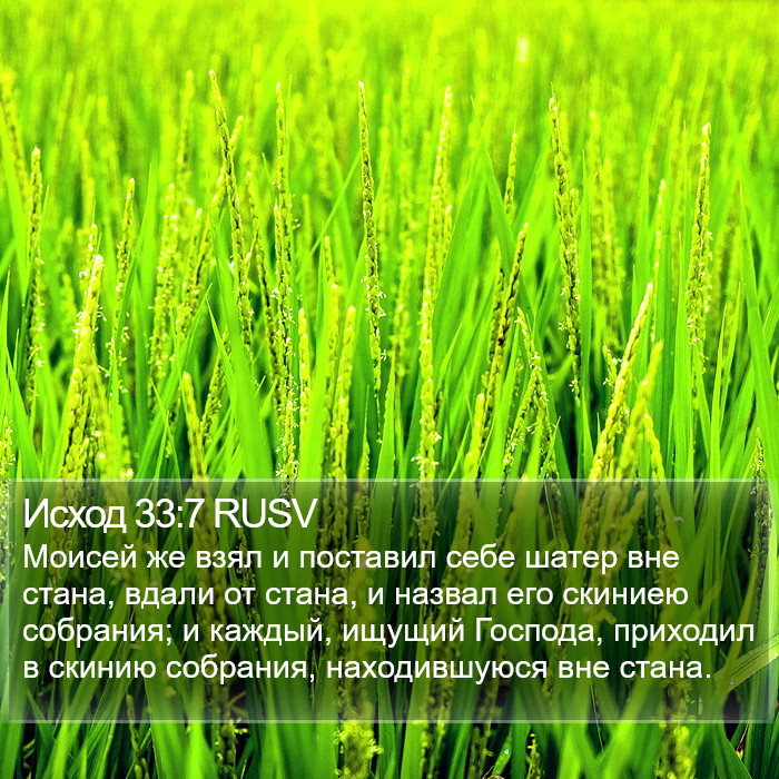 Исход 33:7 RUSV Bible Study