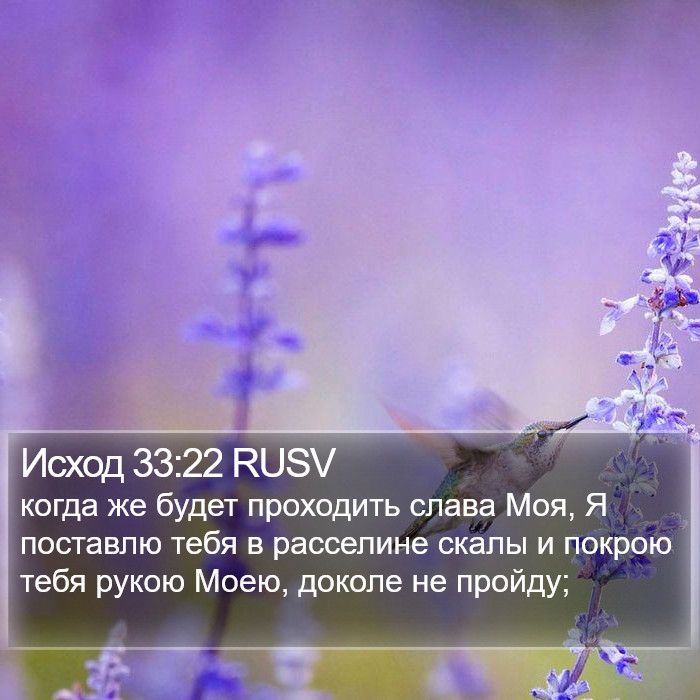 Исход 33:22 RUSV Bible Study