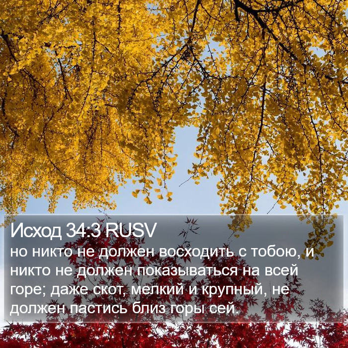 Исход 34:3 RUSV Bible Study