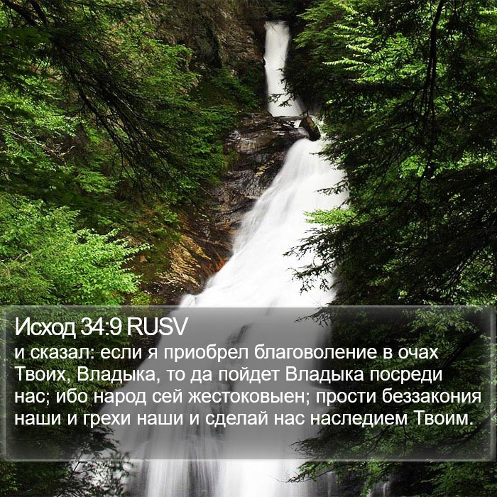 Исход 34:9 RUSV Bible Study