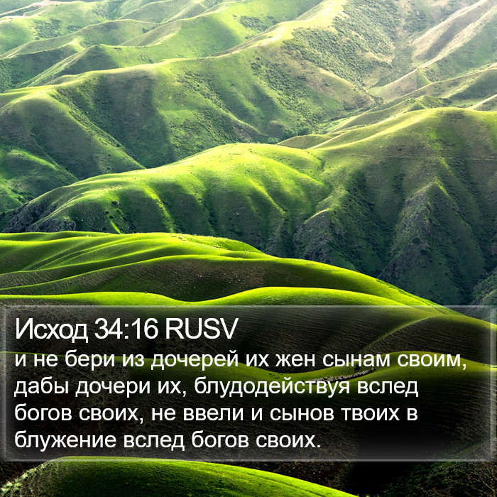 Исход 34:16 RUSV Bible Study