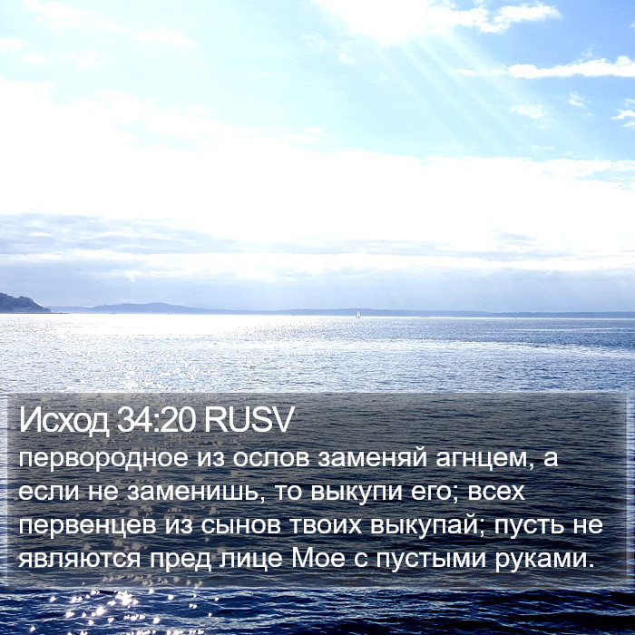 Исход 34:20 RUSV Bible Study