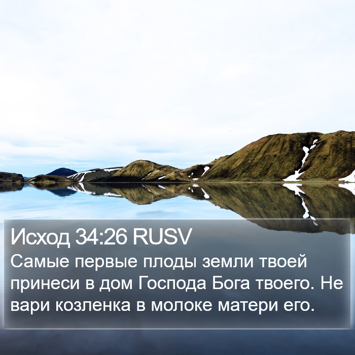 Исход 34:26 RUSV Bible Study