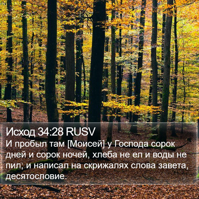 Исход 34:28 RUSV Bible Study