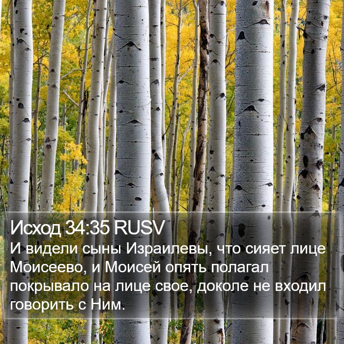 Исход 34:35 RUSV Bible Study