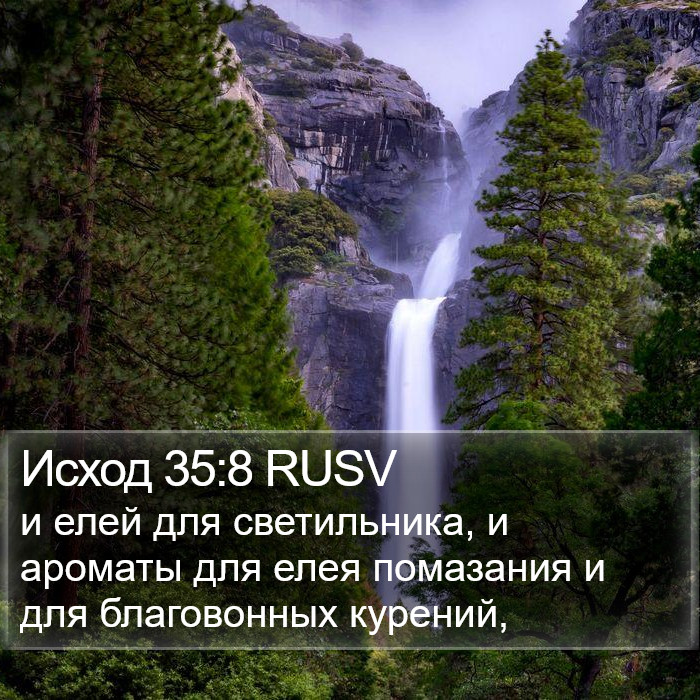 Исход 35:8 RUSV Bible Study