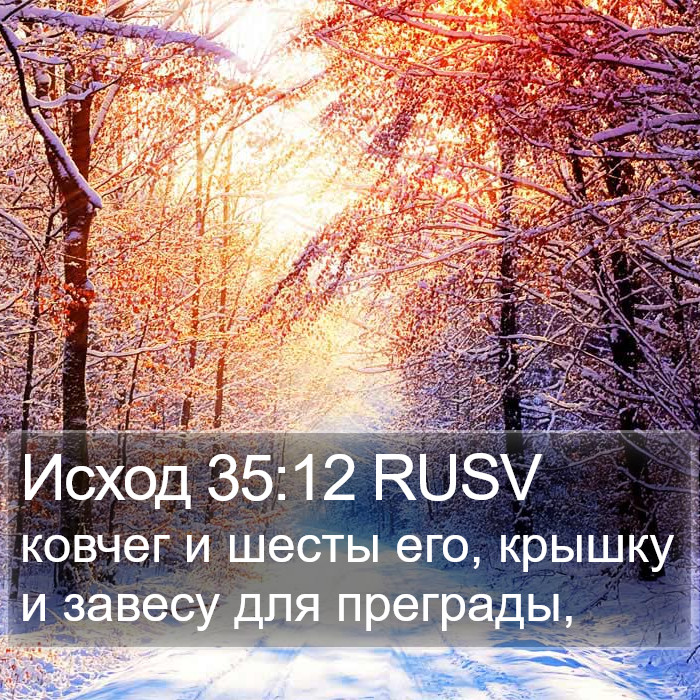 Исход 35:12 RUSV Bible Study
