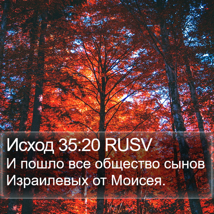 Исход 35:20 RUSV Bible Study