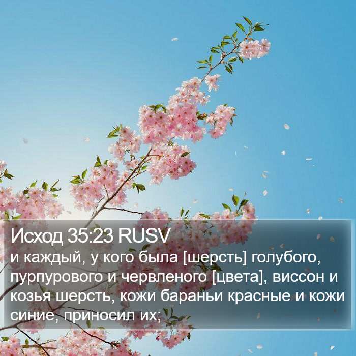 Исход 35:23 RUSV Bible Study