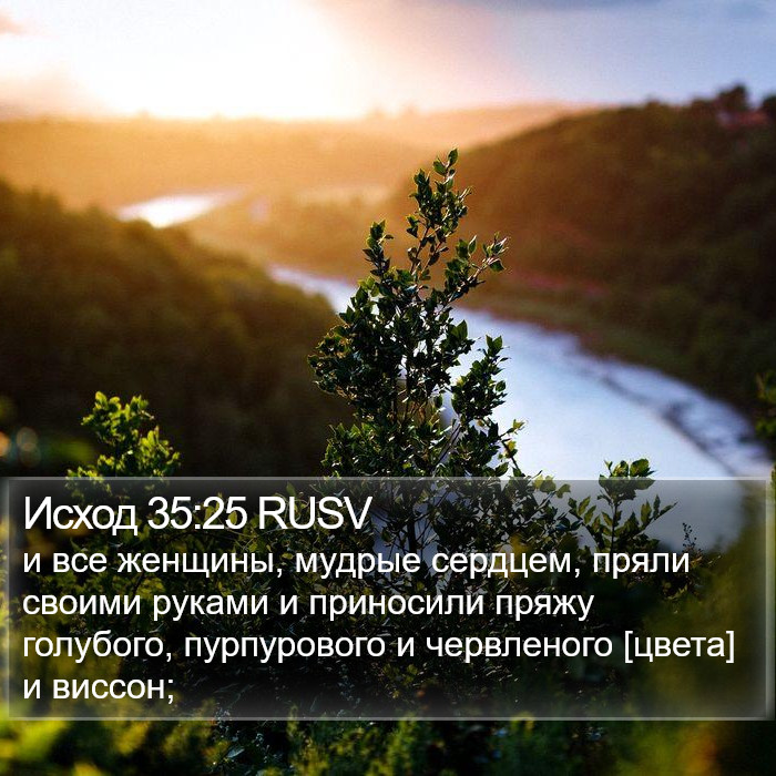 Исход 35:25 RUSV Bible Study