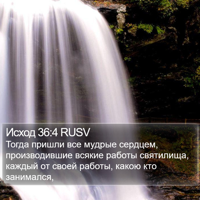 Исход 36:4 RUSV Bible Study