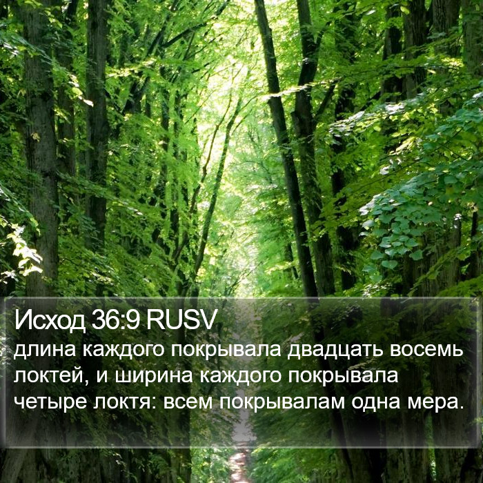 Исход 36:9 RUSV Bible Study