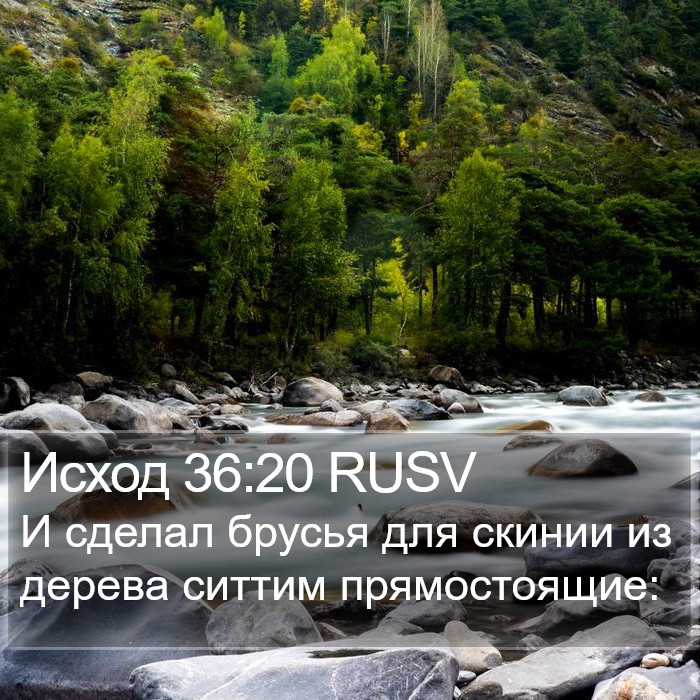 Исход 36:20 RUSV Bible Study
