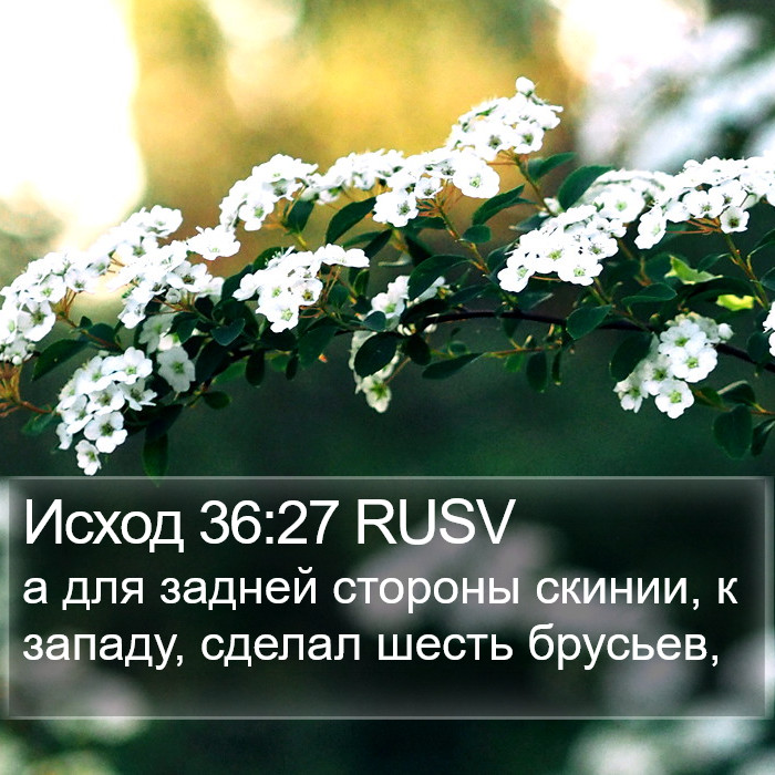 Исход 36:27 RUSV Bible Study