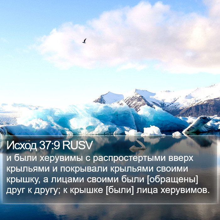 Исход 37:9 RUSV Bible Study